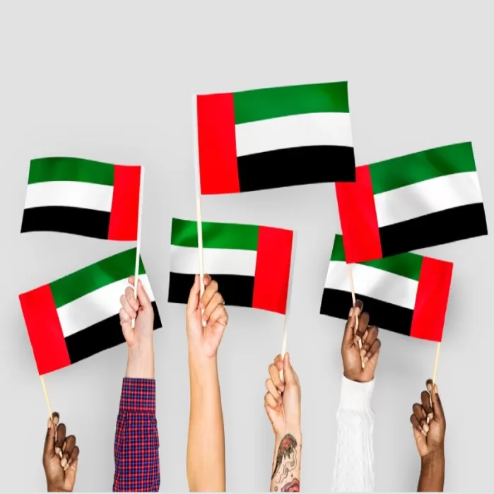 UAE Hand Flags – Flags Qatar